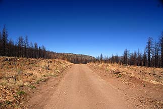 Shulz Pass, Arizona, October 30, 2011